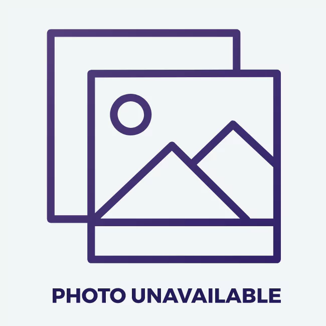 Pet House Candle Assorted Display 12/di Winter 2025